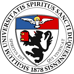 Duquesne School of Leadership & Professional Development logo